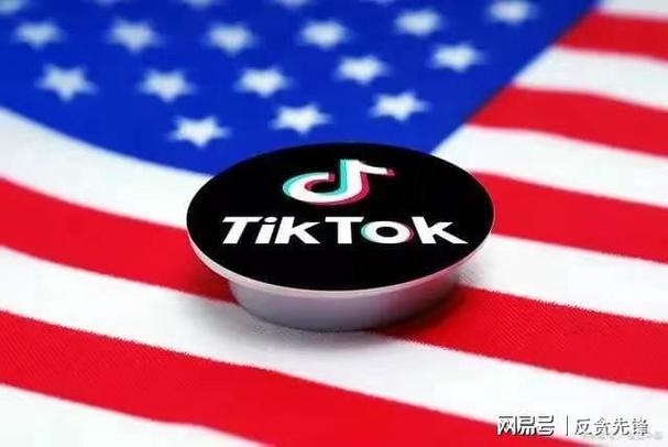 米勒TikTok刷粉,标题：米勒TikTok刷粉：揭示背后的秘密与风险!