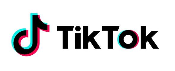 "从零到大咖：TikTok涨粉全攻略！"